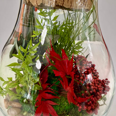 Terrarium artificiale con acero - tondo