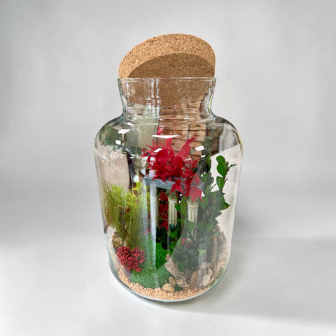 Terrarium con piante stabilizzate con acero