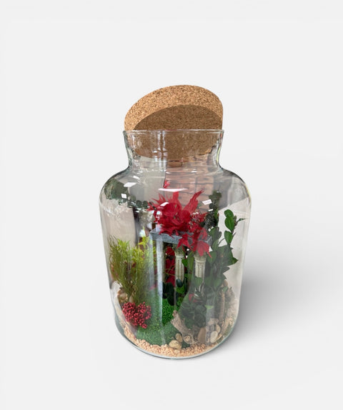 Terrarium con piante stabilizzate con acero