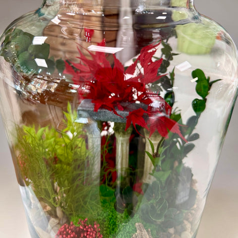 Terrarium con piante stabilizzate con acero