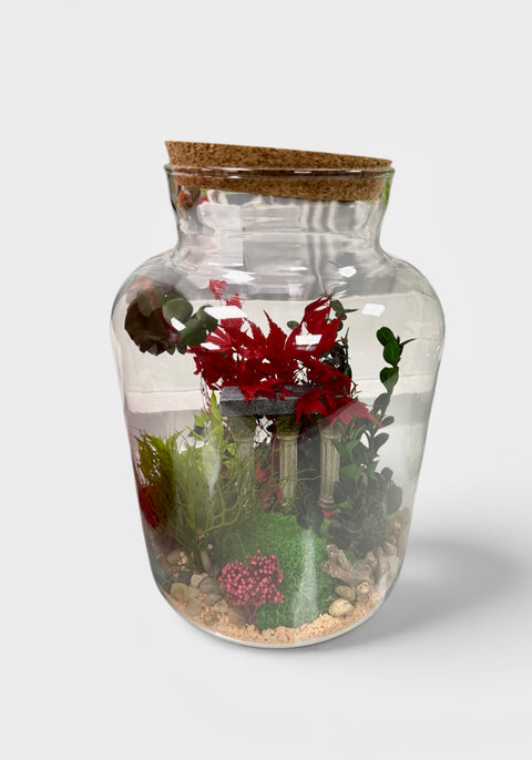 Terrarium con piante stabilizzate - acero 2 new