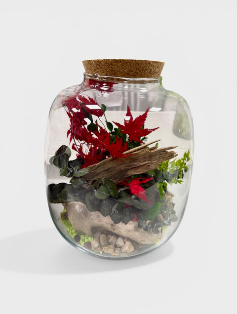 Terrarium con piante stabilizzate - acero 3