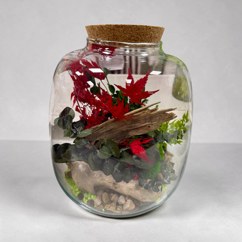 Terrarium con piante stabilizzate - acero 3