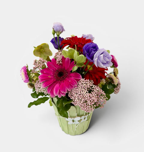 cofanetto primavera 2 -
