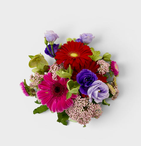 cofanetto primavera 2 -