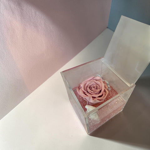 Rosa nascita bimba 2