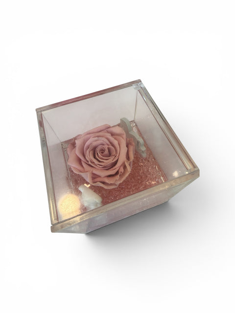 Rosa nascita bimba 2