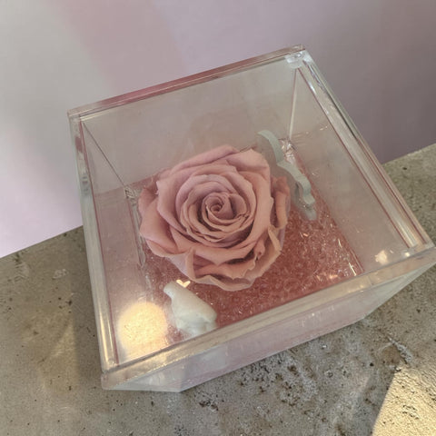 Rosa nascita bimba 2