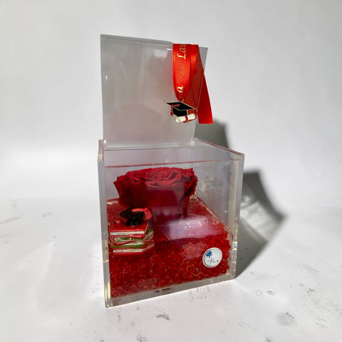 Rosa laurea - NEW rossa