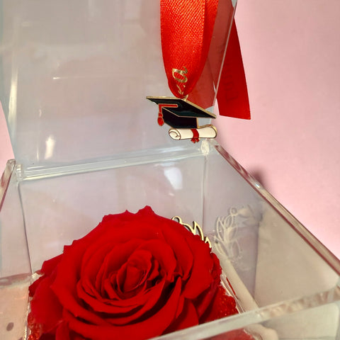 Rosa laurea - NEW rossa