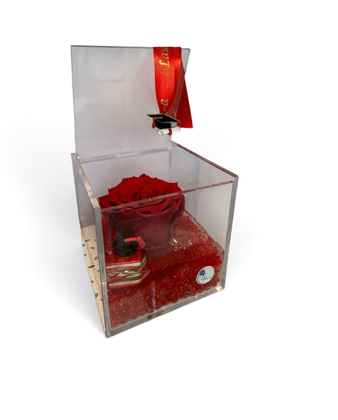 Rosa laurea - NEW rossa