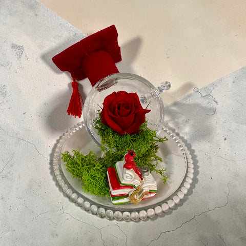 Rosa laurea - NEW rossa piccola