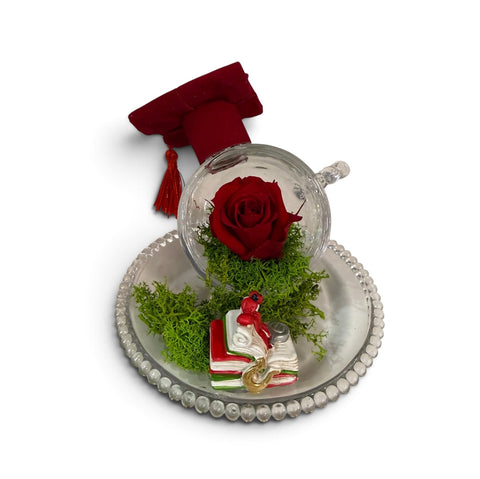 Rosa laurea - NEW rossa piccola