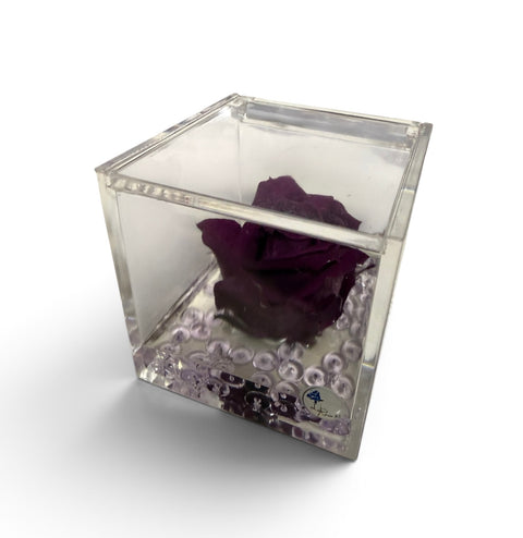 Rosa stabilizzata NEW autunno