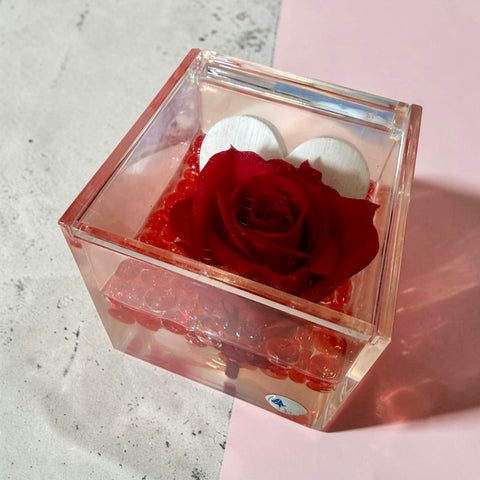Rosa stabilizzata NEW love