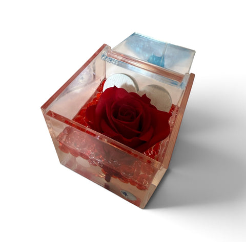 Rosa stabilizzata NEW love