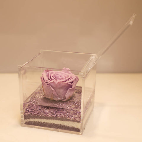 Eternal Roses | Cube lilla | media