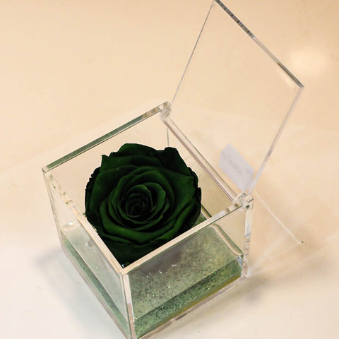 Eternal Roses | verde
