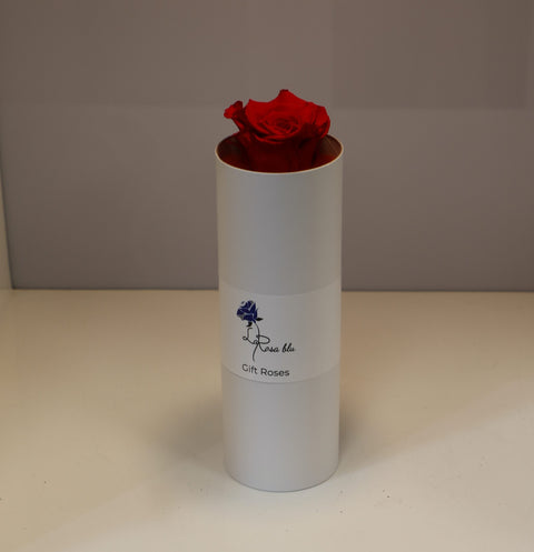 Gift roses | rosa Singola rossa Eterna