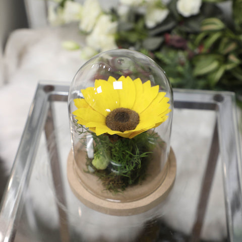 | Il girasole incantato eterno | Small