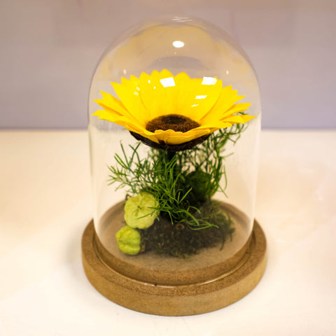 | Il girasole incantato eterno | Small