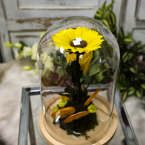 Il girasole incantato eterno | medio