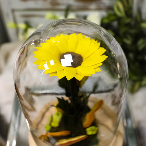 Il girasole incantato eterno | medio