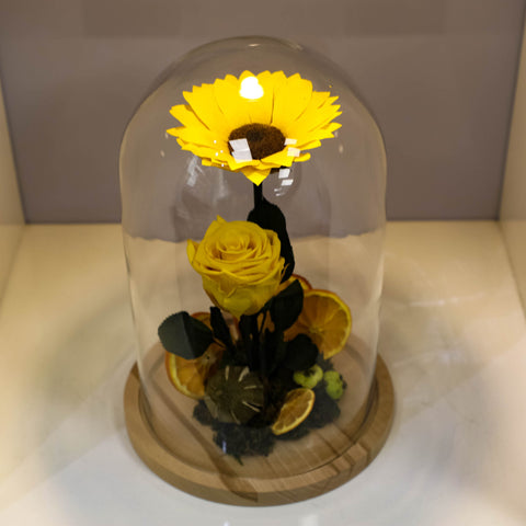 Il girasole incantato eterno | medio