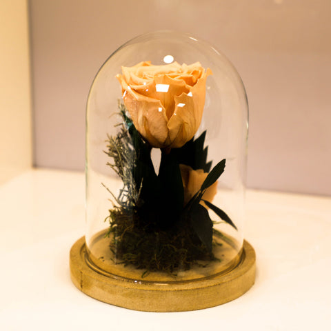 Collezione fiabe | La rosa Incantata rosa eterna |
