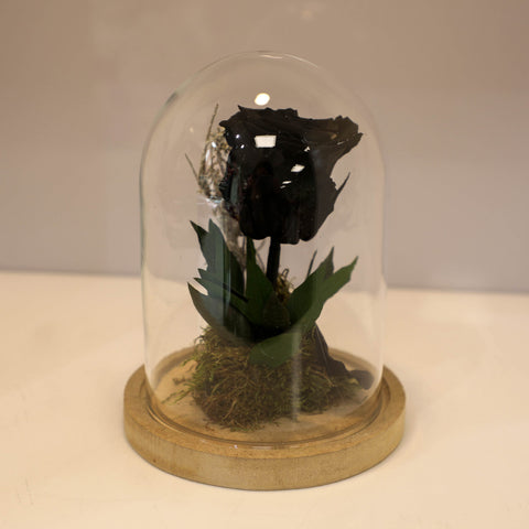 Collezione fiabe | La rosa Incantata nera eterna | Small