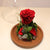 Collezione fiabe | La rosa Incantata rossa eterna | Small