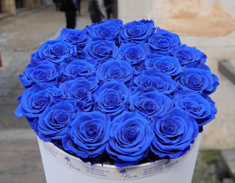 Gift roses | 23 Rose blu eterne