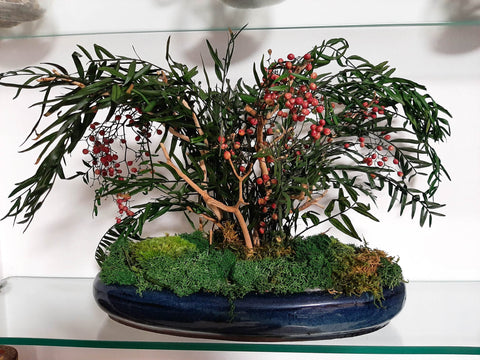 Bonsai - stabilizzato - con bacche