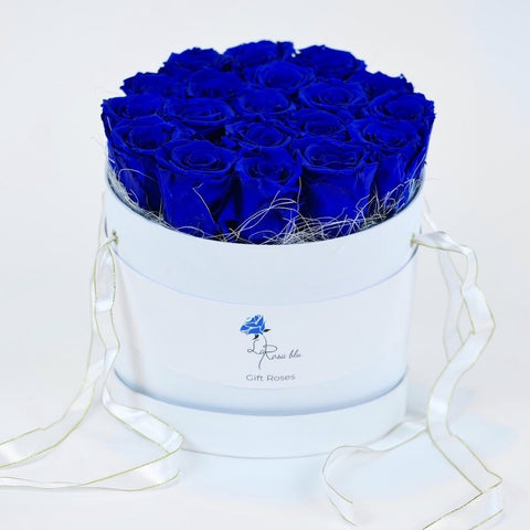 Gift roses | 19 rose blu eterne