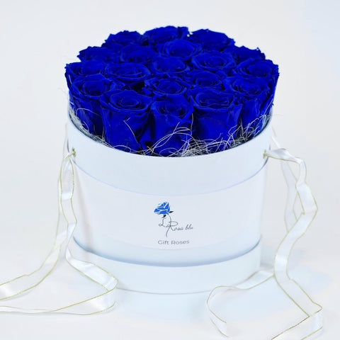 Gift roses | 19 rose blu eterne