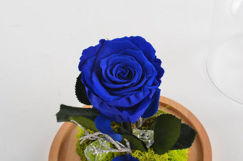 Collezione fiabe | La rosa Incantata eterna Blu | Big