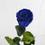 Collezione fiabe | La rosa Incantata eterna Blu | Big