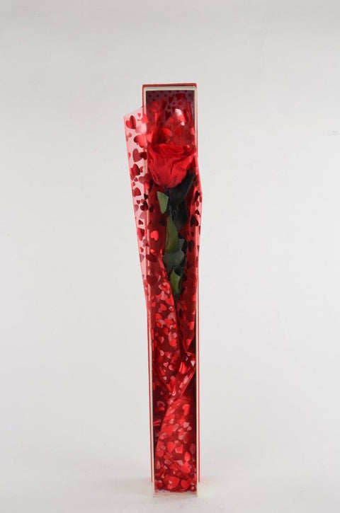 Gift roses | rosa Singola rossa con gambo | Eterna