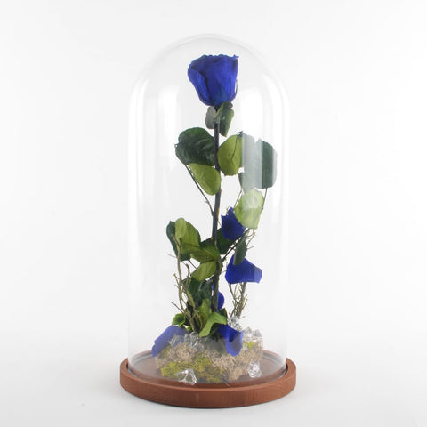 Collezione fiabe | La rosa Incantata eterna Blu | Big
