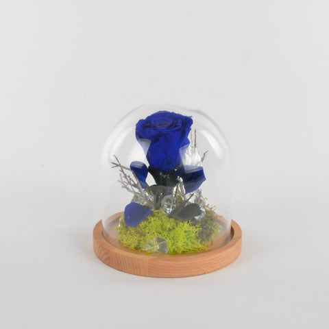 Collezione fiabe | La rosa Incantata blu eterna | Small