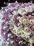 Bouquet perle -