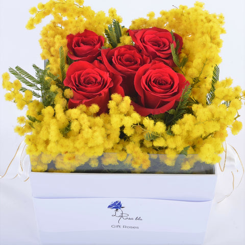 Gift roses | 5 rose rosse FRESCHE e mimosa