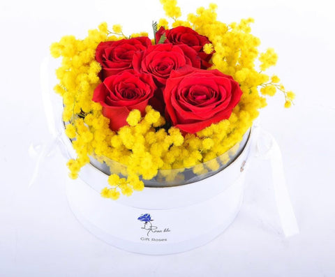 Gift roses | 5 rose rosse FRESCHE e mimosa in scatola rotonda