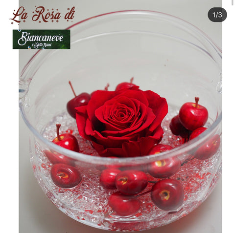 La rosa di Biancaneve