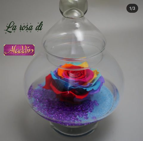 La rosa di Jasmine