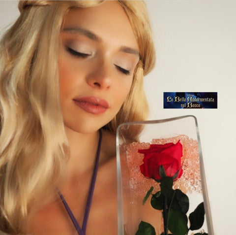 La rosa di Aurora