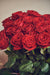 12 Rose rosse alte - qualità black baccarà