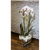 Pianta di orchidea bianca con vaso in vetro